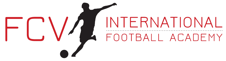 Football CV image