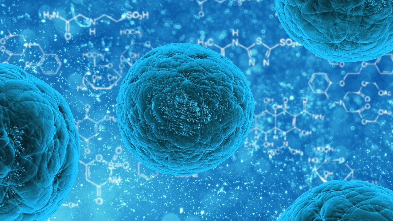 Coronavirus- where we are now
