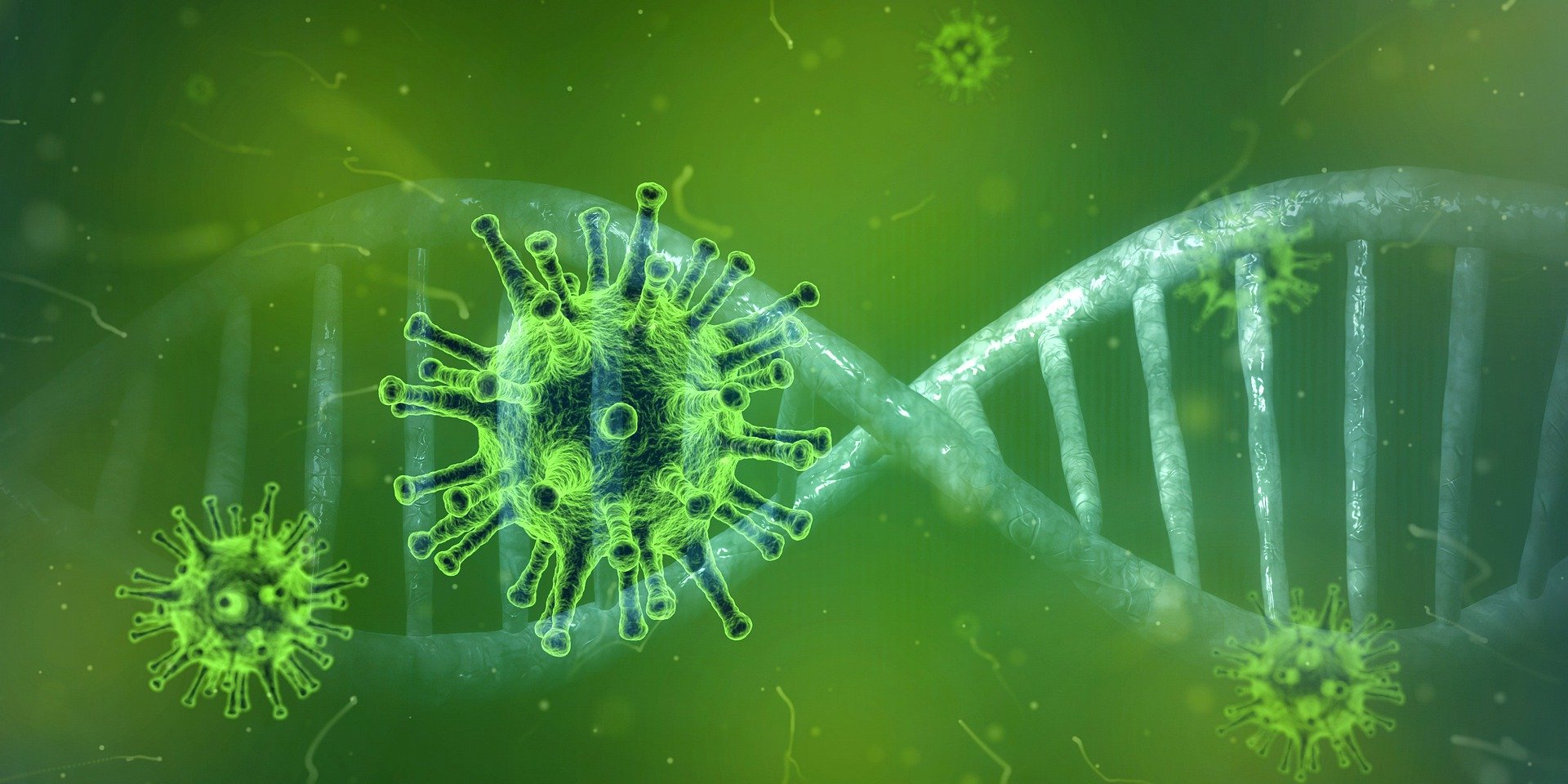 Is the Corona Virus the Black Swan Event that causes the next recession?