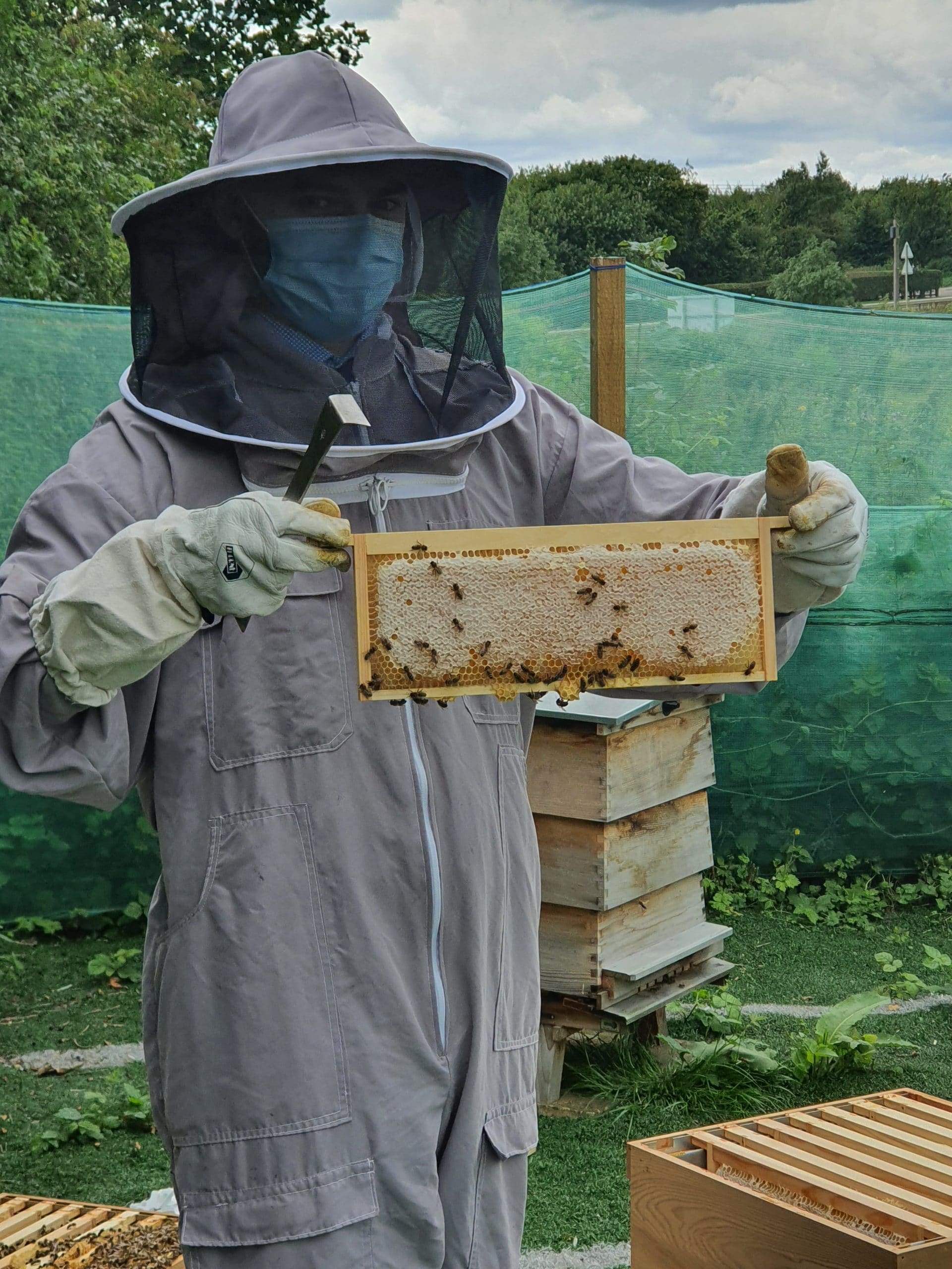 The Telford Mann Beekeeping Journey So Far By Charlie Hancock