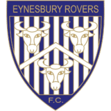 Eynesbury Rovers under 14’s in their Telford Mann away kit